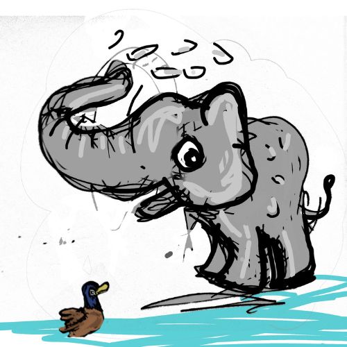 elephant spraying water all over his body while a mallard duck is watching it.