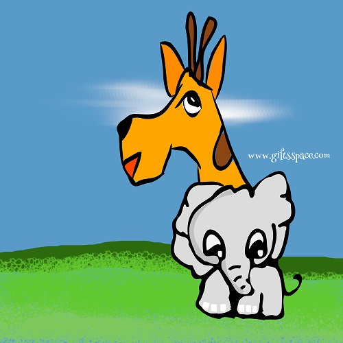 Giraffe And The Elephant Story