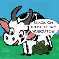 Frog And The Cow