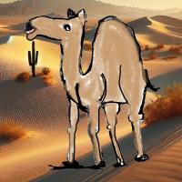 Desert Is My Sweet Home!