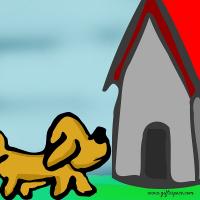 How Otis Became A Proud Dog Again?