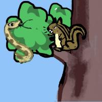 High Branch Rescue