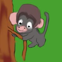 Monkey