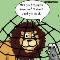 The Lion Who Said 